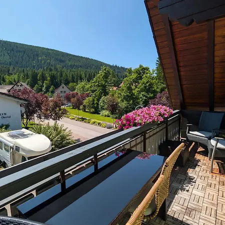 House Apartment Baiersbronn